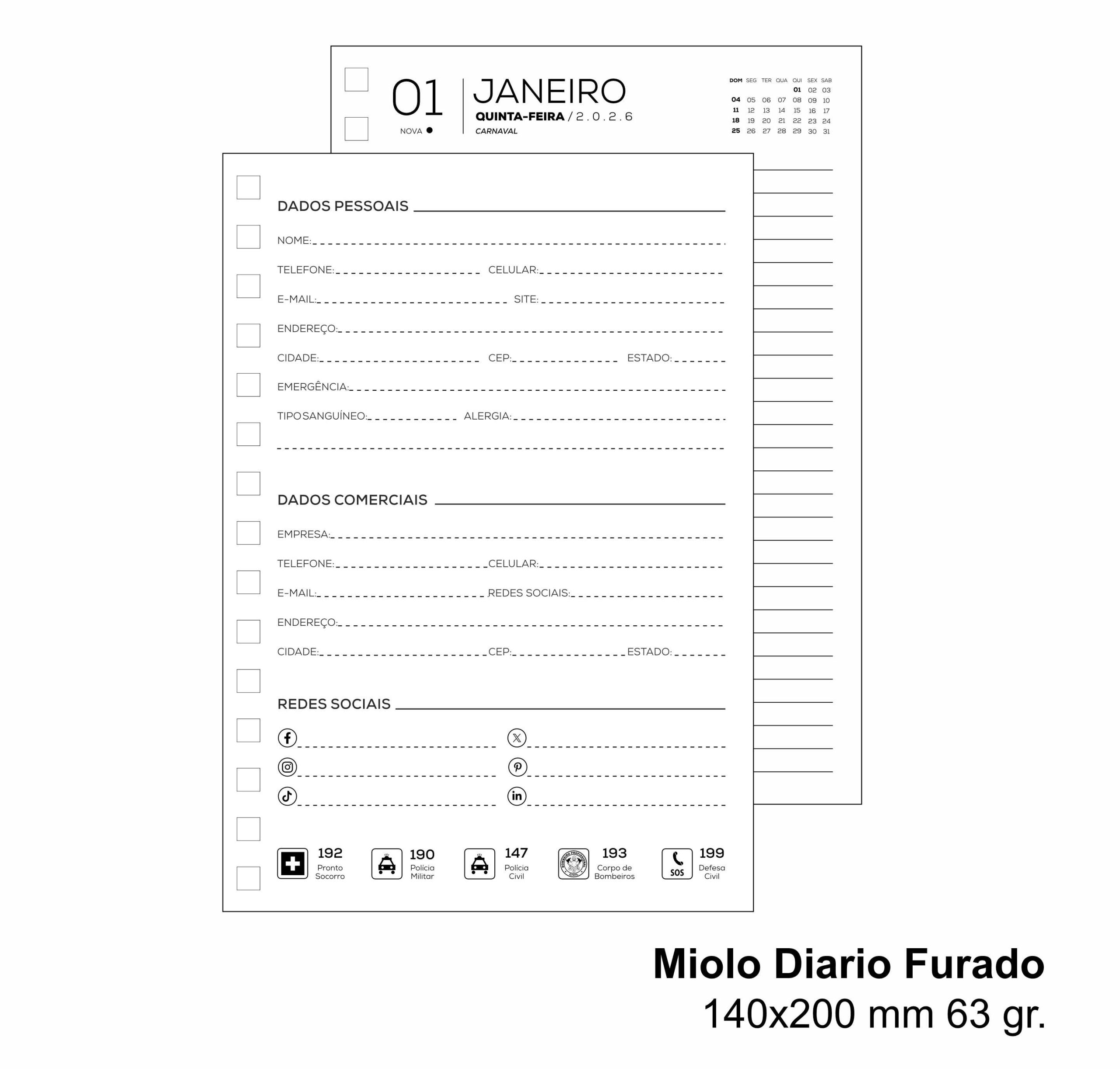 Miolo Diario furado 63